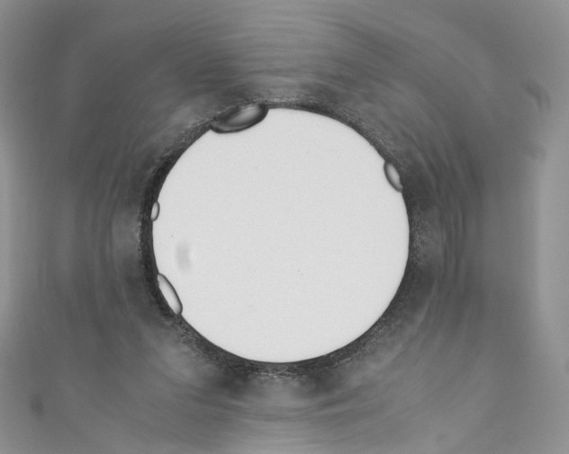 X0000110670207200907241029