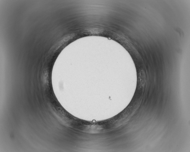 X0000110670212200907241029