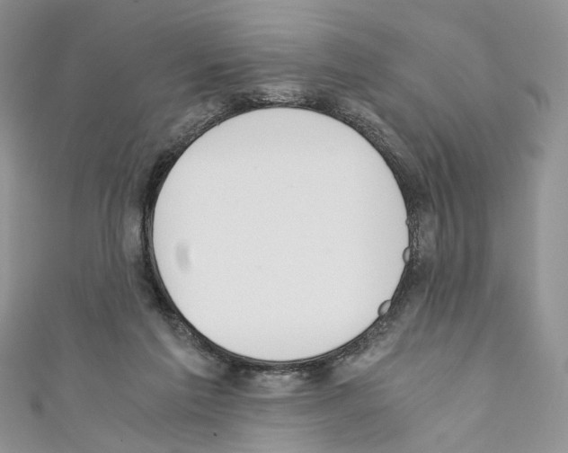 X0000110670213200907241029