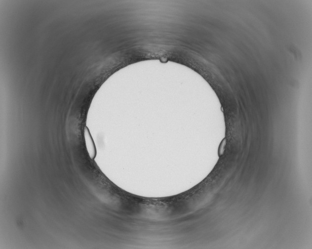 X0000110670215200907241029