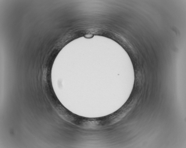 X0000110670217200907241029