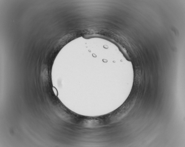 X0000110670220200907241029