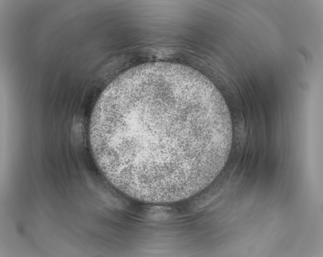 X0000110670222200907241029