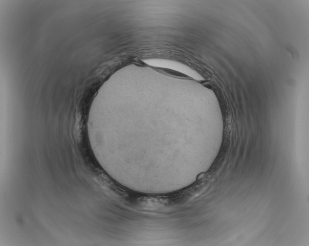 X0000110670223200907241029