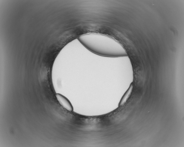 X0000110670225200907241029