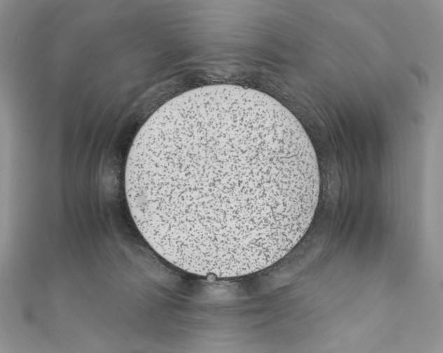 X0000110670226200907241029