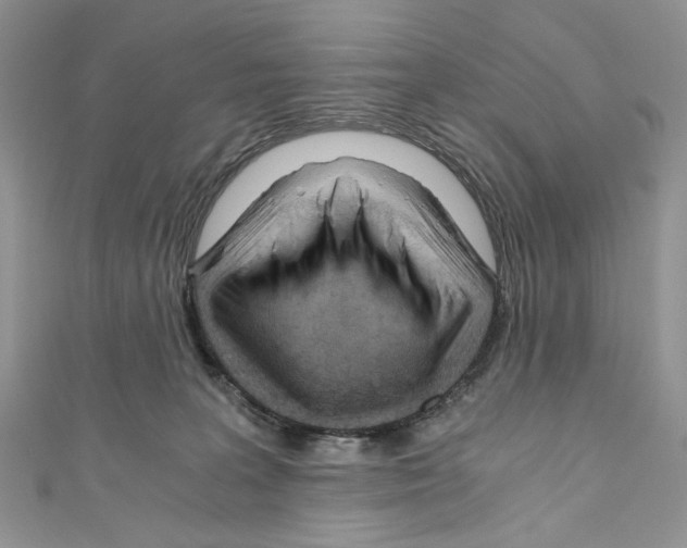 X0000110670227200907241029