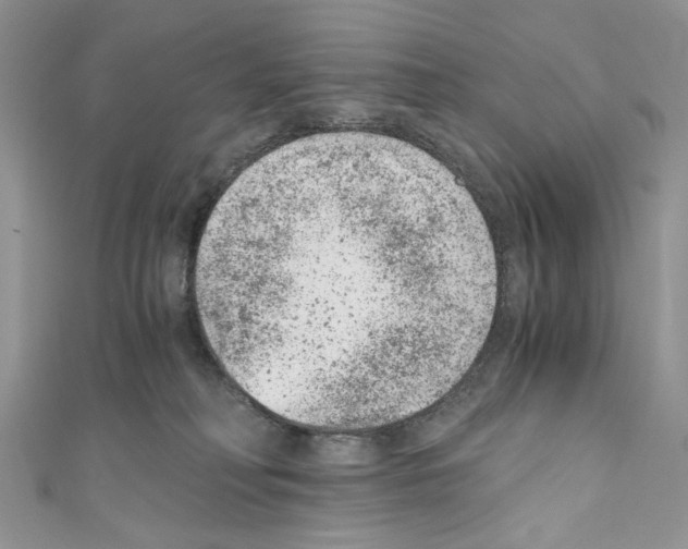 X0000110670230200907241029