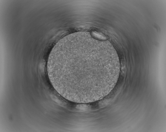X0000110670231200907241029