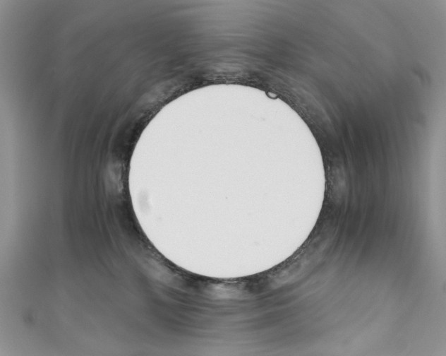 X0000110670232200907241029