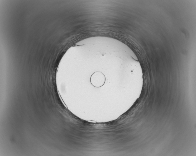 X0000110670233200907241029