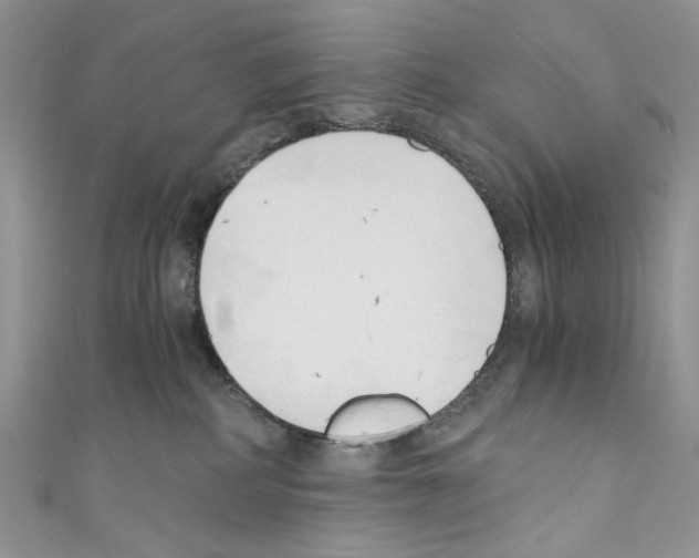 X0000110670234200907241029