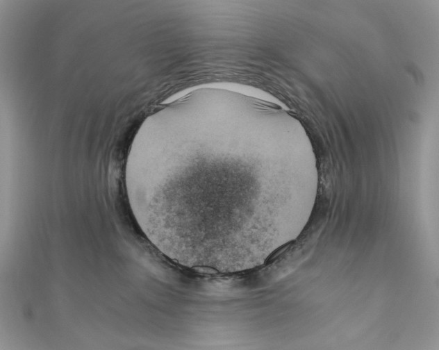 X0000110670235200907241029