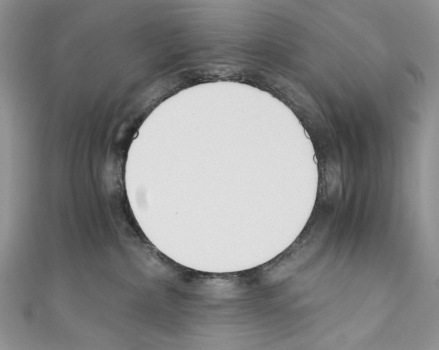 X0000110670236200907241029