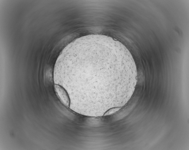 X0000110670238200907241029