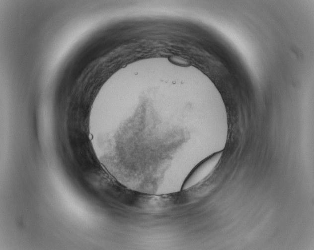 X0000110670239200907241029