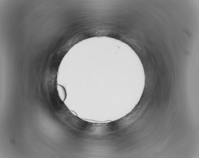 X0000110670240200907241029