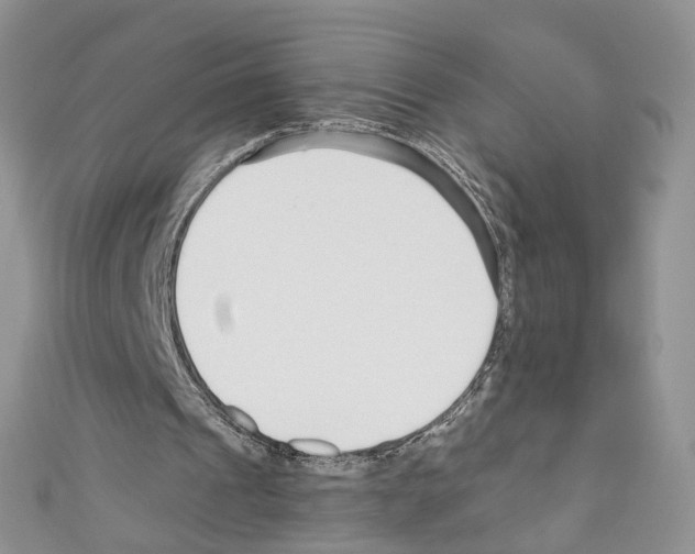 X0000110670241200907241028