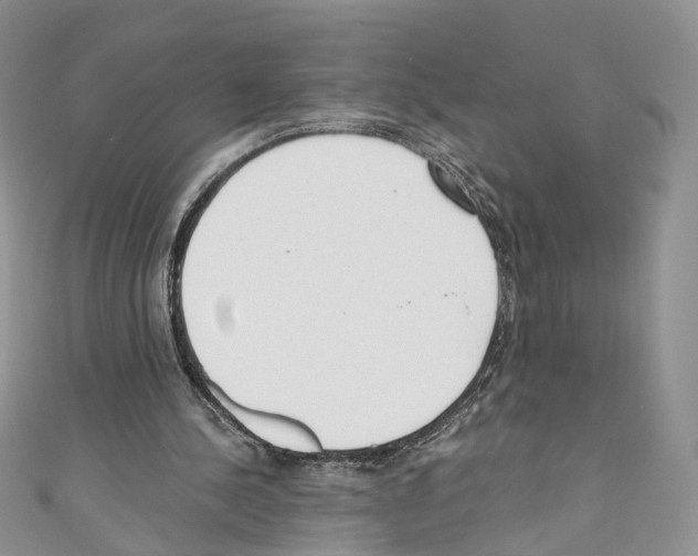 X0000110670244200907241028