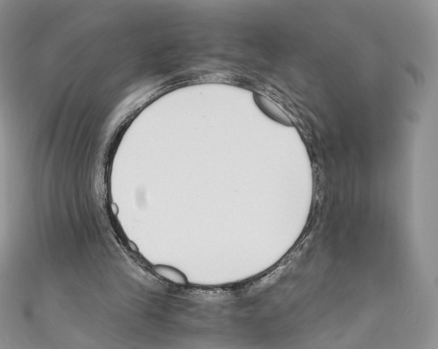 X0000110670245200907241028