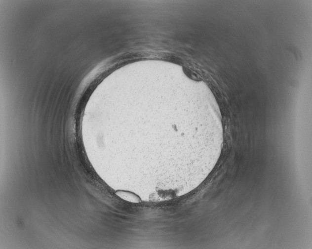 X0000110670246200907241028