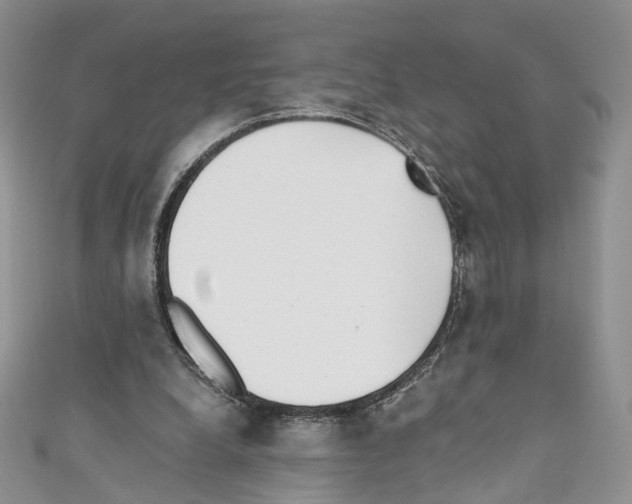 X0000110670248200907241028