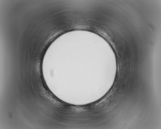 X0000110670249200907241028