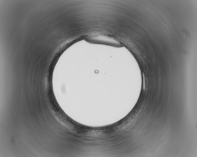 X0000110670252200907241028
