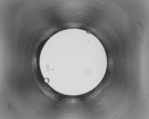 X0000110670254200907241028