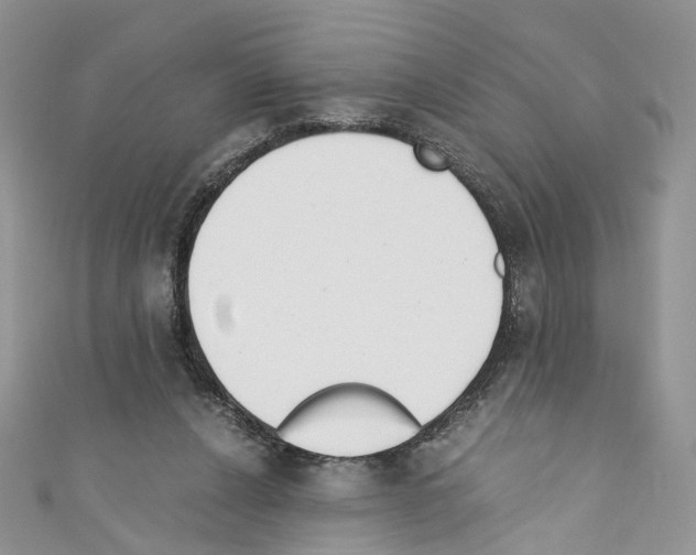 X0000110670256200907241028
