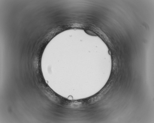 X0000110670257200907241028