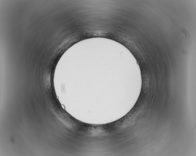 X0000110670262200907241028