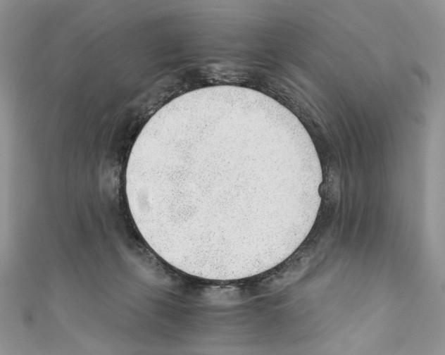 X0000110670271200907241028