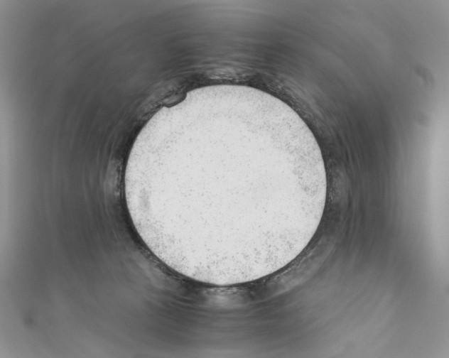 X0000110670273200907241028