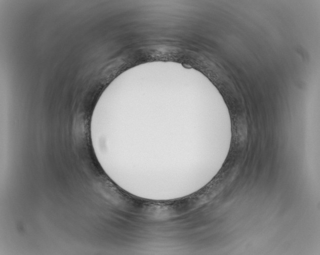 X0000110670276200907241028