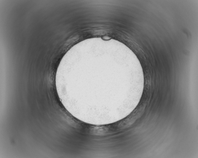 X0000110670277200907241029