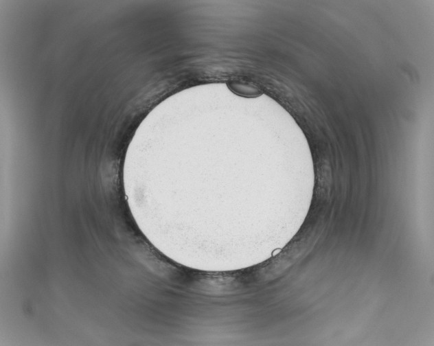 X0000110670278200907241029