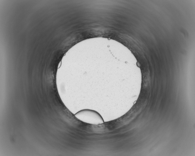 X0000110670279200907241029