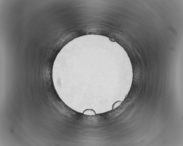 X0000110670282200907241029