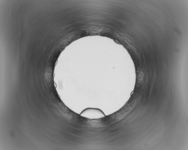 X0000110670283200907241029