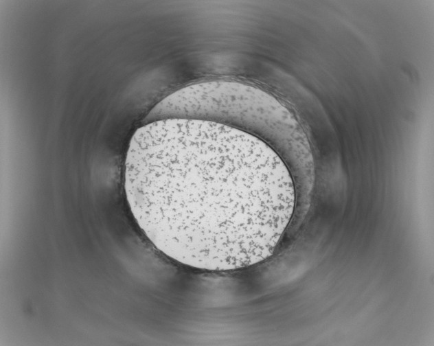 X0000110670284200907241029