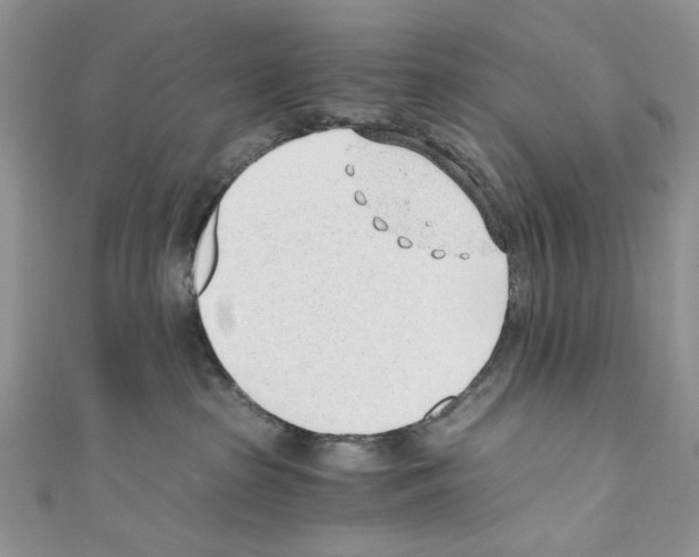 X0000110670285200907241029