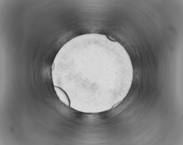 X0000110670286200907241029