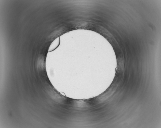 X0000110670287200907241029