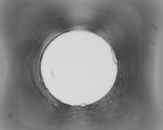 X0000110670289200907241028
