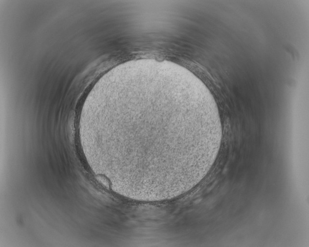 X0000110670290200907241028