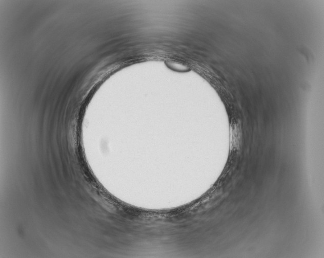 X0000110670291200907241028