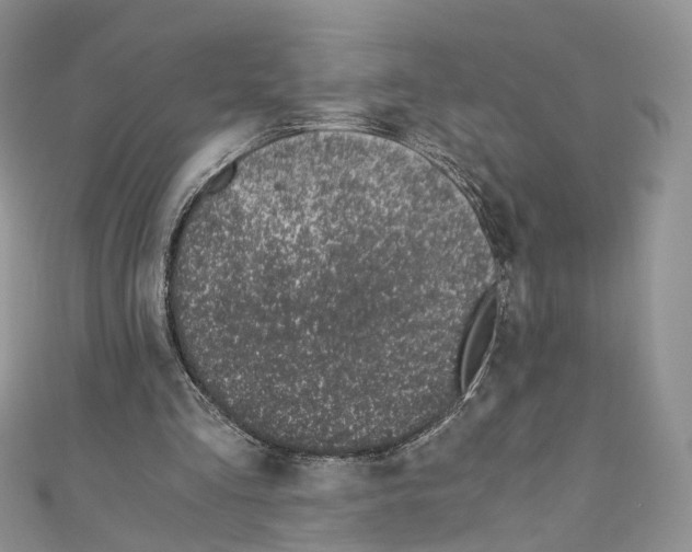 X0000110670293200907241028