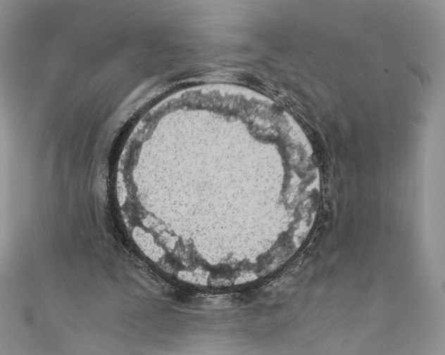 X0000110670295200907241028
