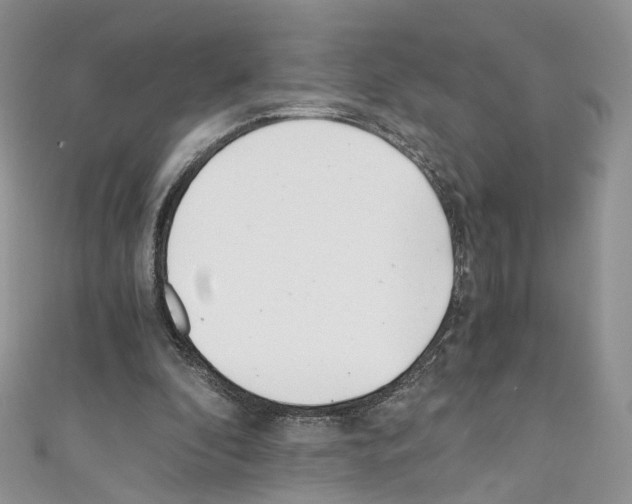 X0000110670296200907241028